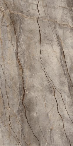 Silver Root - Marazzi_Grande_Stone_Look_MFEE
